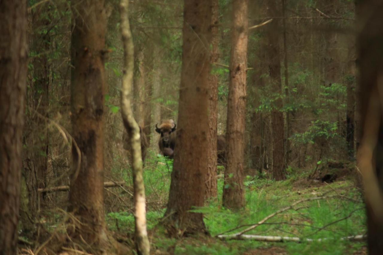 Nasze Podlasie, Domek W Dubiczach Cerkiewnych Dubicze Cerkiewne Eksteriør billede