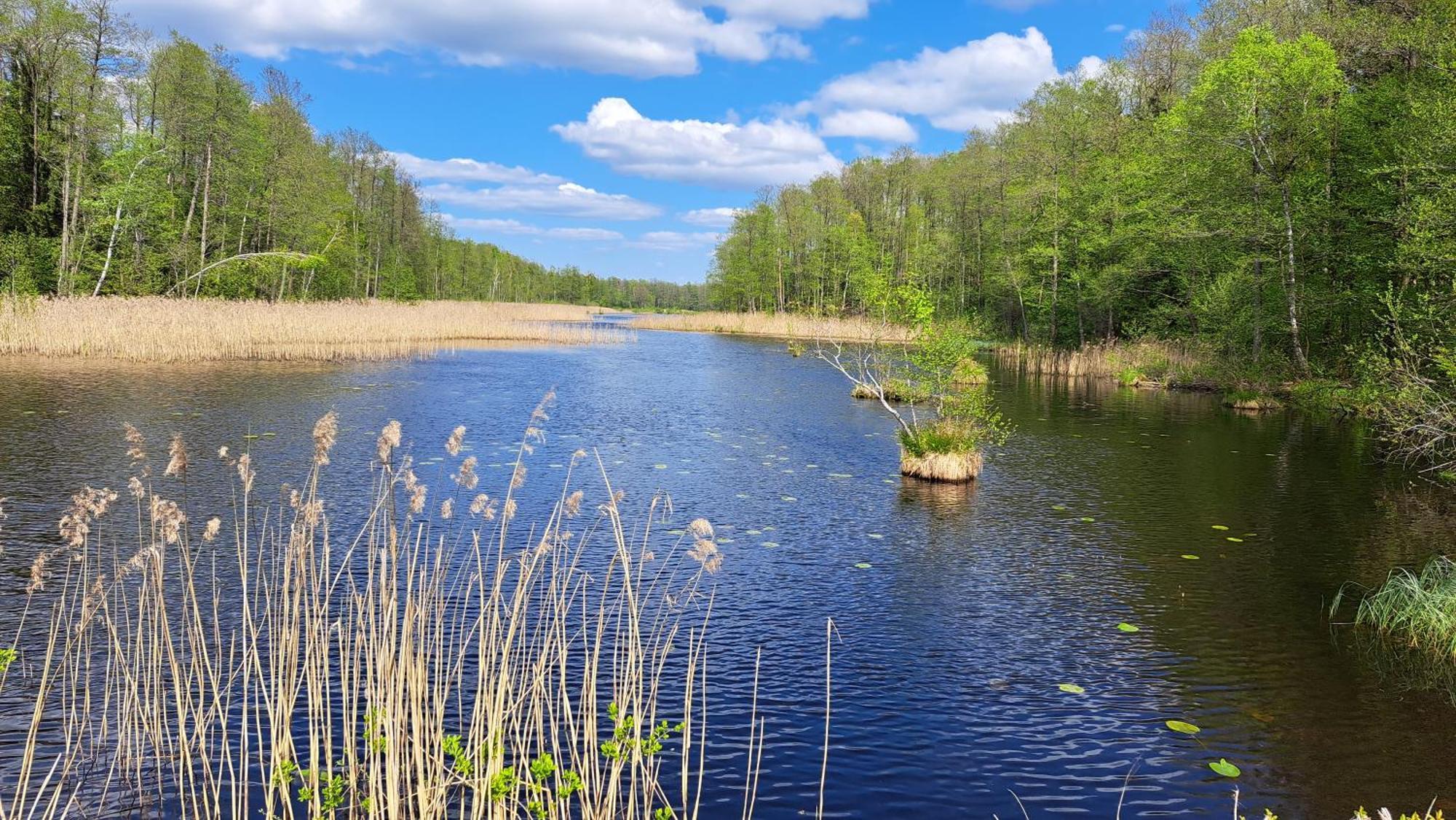 Nasze Podlasie, Domek W Dubiczach Cerkiewnych Dubicze Cerkiewne Eksteriør billede